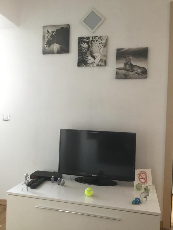 White Dream Suites Iasi Eksteriør billede