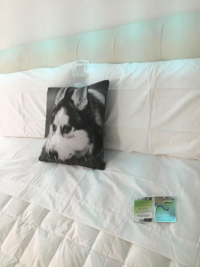 White Dream Suites Iasi Eksteriør billede